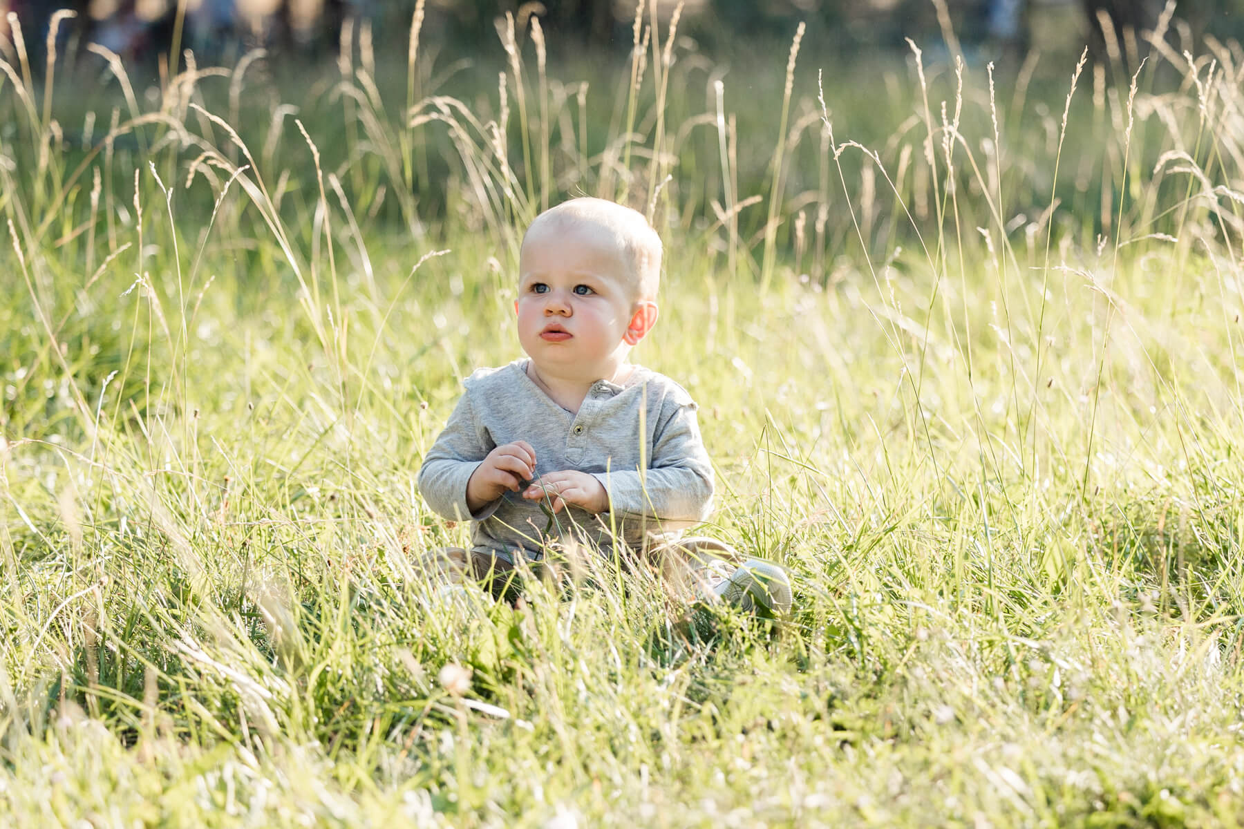 Baby sitting in tall golden grass. 