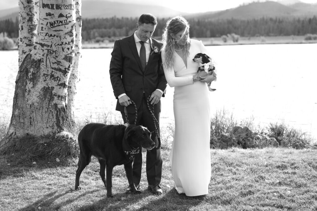 Black and white image of the bride holding their small dog and groom holding the leash of their black lab. 